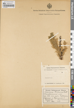 LE 01192191