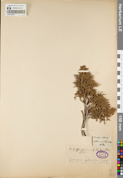 LE 01192195