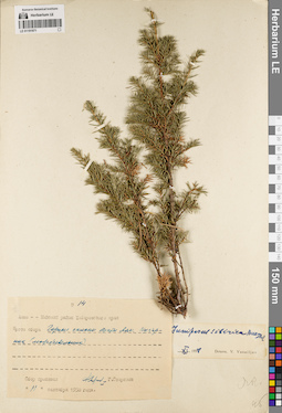 LE 01191971