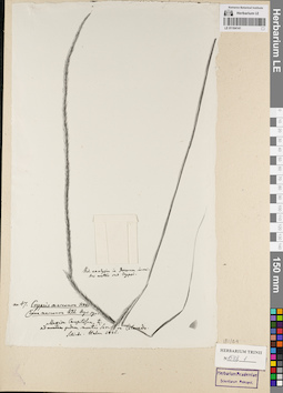 LE 01164141