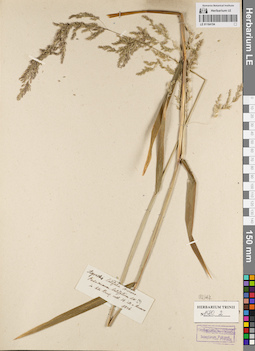 LE 01164154