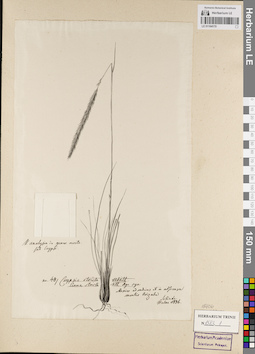 LE 01164170