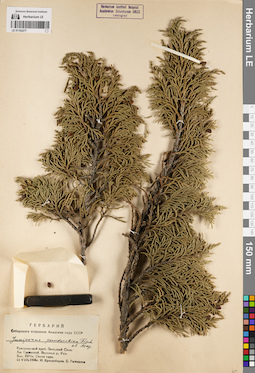LE 01192277