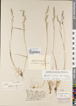 LE 01164182