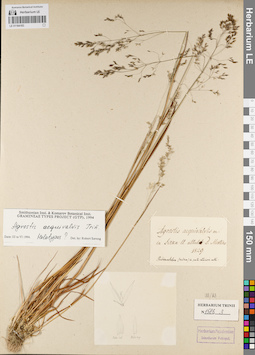 LE 01164183