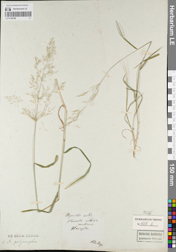 LE 01164188