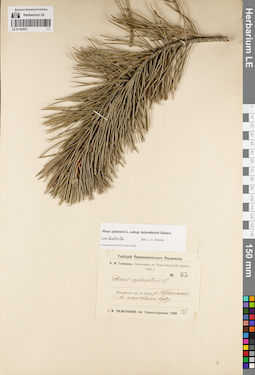 LE 01192031