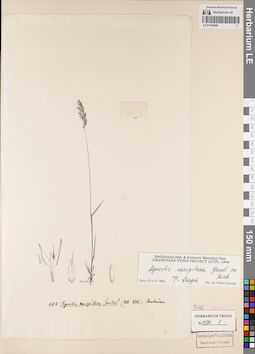LE 01164209