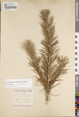LE 01192068