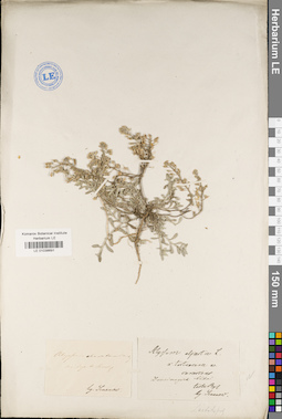 LE 01038691