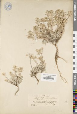 LE 01038692