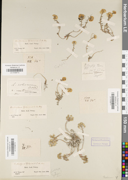 LE 01038712