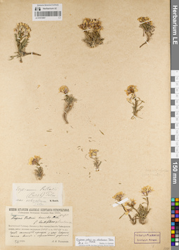 LE 01072907