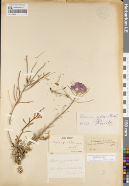 LE 01072932