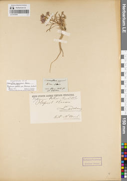 LE 01072936