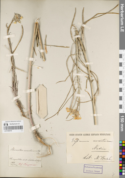 LE 01082918