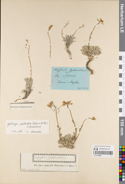LE 01188896