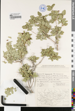 LE 01192522