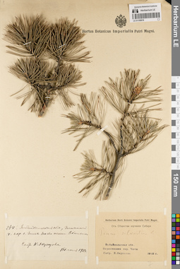 LE 01192618