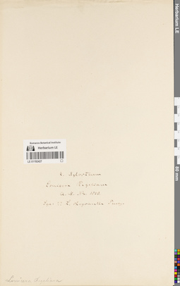 LE 01192427
