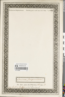 LE 01192467