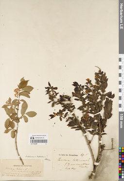 LE 01192489