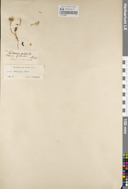 LE 01189051