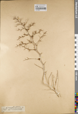 LE 01189061