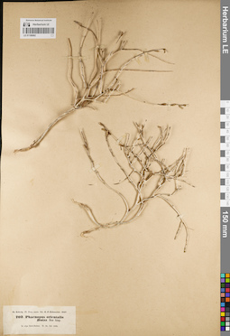 LE 01189062