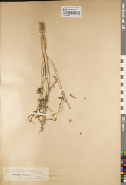 LE 01189063