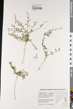 LE 01188937