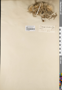 LE 01188965