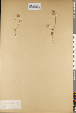 LE 01189002