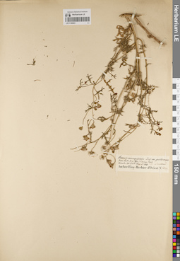 LE 01189003