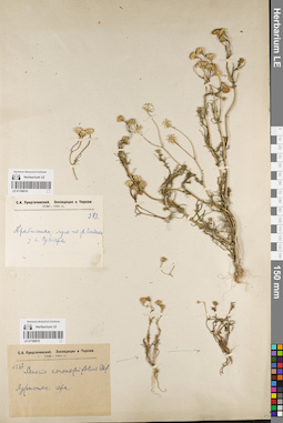 LE 01189015