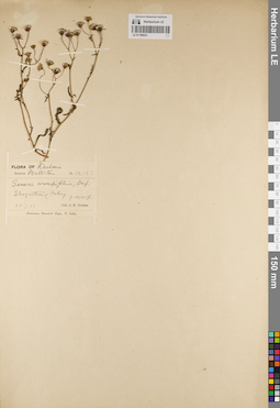 LE 01189023
