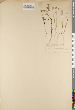 LE 01189024