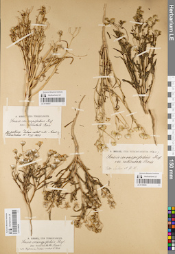 LE 01189027