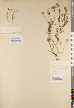 LE 01189031
