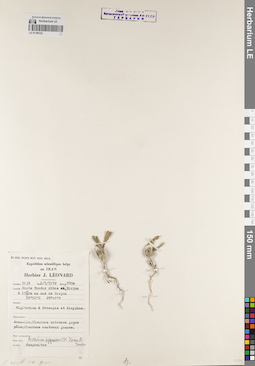 LE 01189122