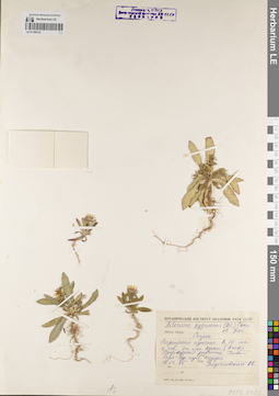 LE 01189123