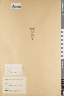 LE 01189128