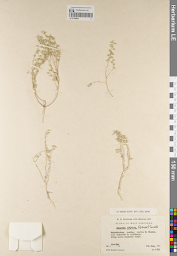 LE 01189083
