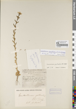 LE 01082921