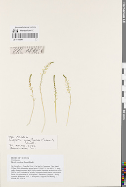 LE 01168941