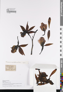 LE 01168962
