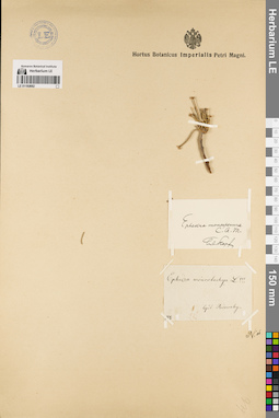 LE 01192682