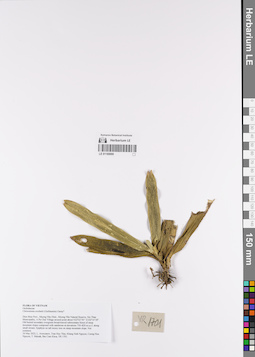 LE 01169000