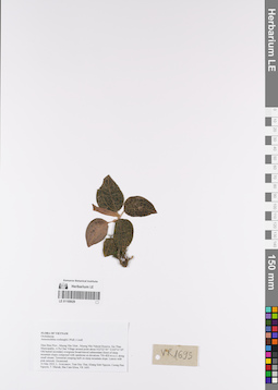 LE 01169029