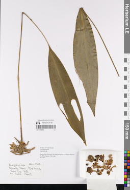 LE 01169063